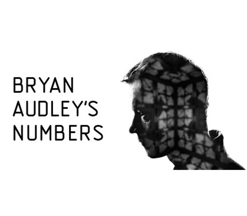 Bryan Audley's Numbers Steam Ключ