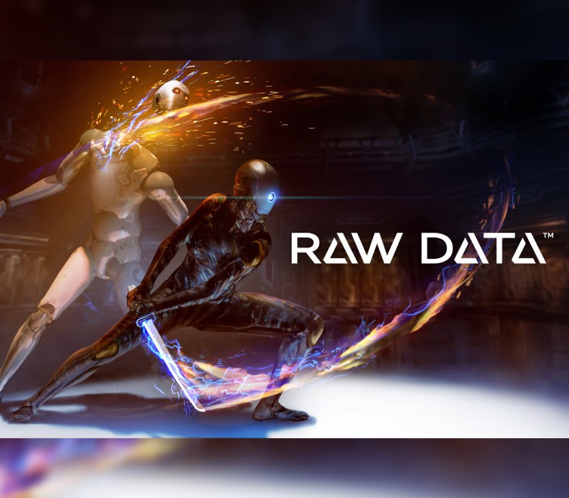 Raw Data EU PC Steam Ключ
