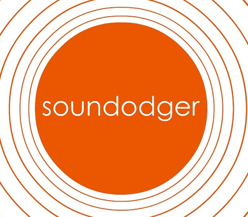 Soundodger+ Steam Ключ