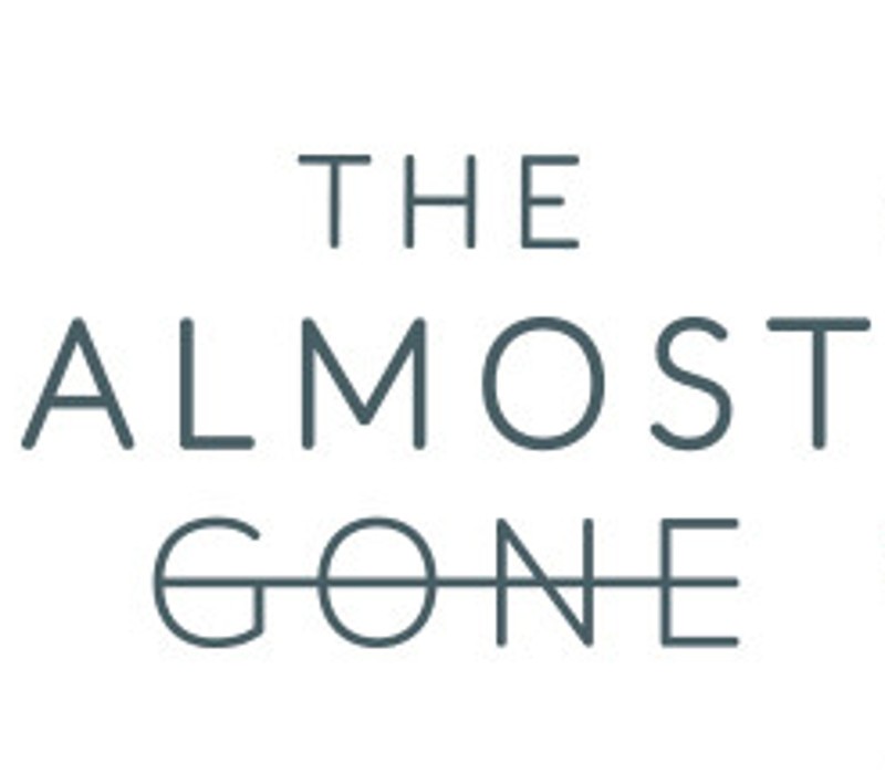 The Almost Gone Steam Ключ