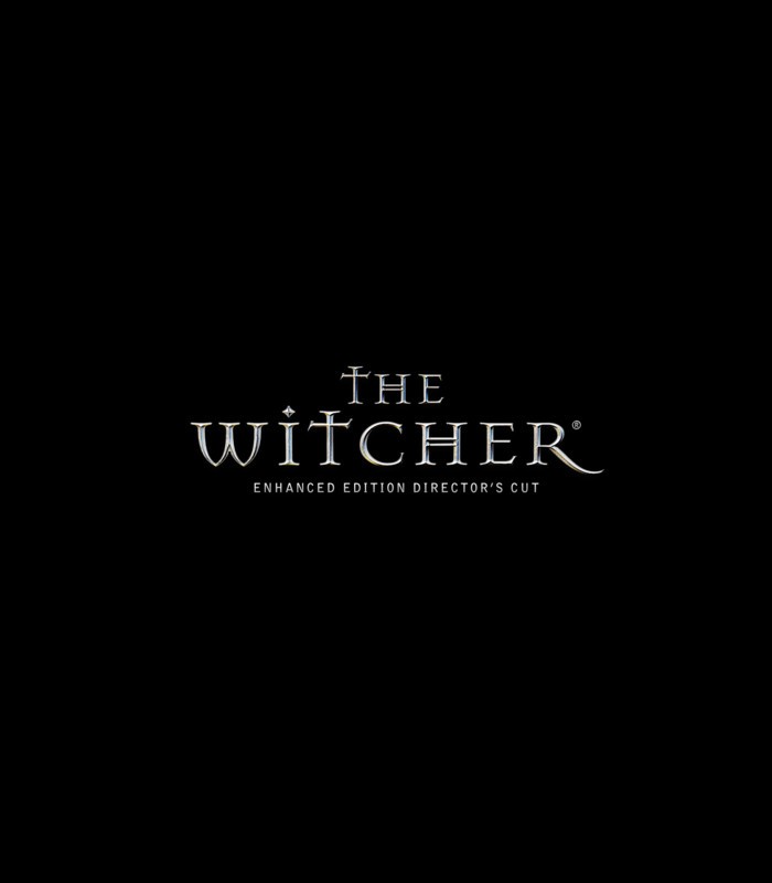 The Witcher: Улучшенное издание Director's Cut GOG Ключ