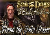 Sea Dogs: To Each His Own - Flying the Jolly Roger DLC Steam Ключ