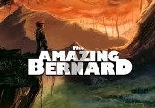 The Amazing Bernard Steam Ключ