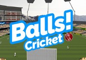 Balls! Virtual Reality Cricket Steam Ключ