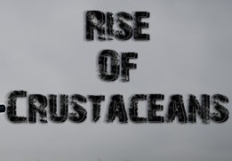 Rise of Crustaceans Steam Ключ