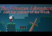 The Princess Adventure Steam Ключ