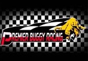 Premier Buggy Racing Tour Steam Ключ