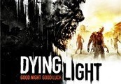 Dying Light - Сезонный пропуск Steam Подарок