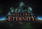 Pillars of Eternity Hero издание RU VPN Required Steam Ключ