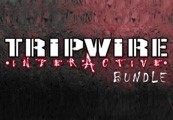 Tripwire Interactive 24 Item Набор Steam Подарок