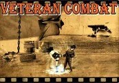 Veteran Combat Steam Ключ