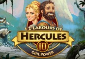 12 Labours of Hercules III: Girl Power Steam Ключ
