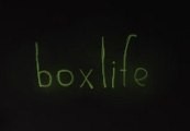 boxlife Steam Ключ