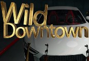 Wild Downtown Steam Ключ