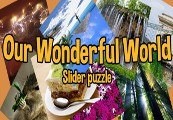 Our Wonderful World Steam Ключ