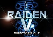Raiden V: Director's Cut Steam Ключ
