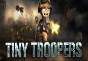 Tiny Troopers Steam Подарок