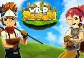 Wild Season Steam Ключ