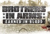Brothers in Arms: Earned in Blood Steam Подарок