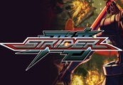 STRIDER / ストライダー飛竜 RU VPN Activated Steam Ключ