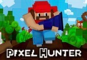 Pixel Hunter Steam Ключ