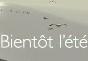 Bientôt l'été Steam Ключ