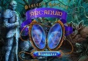 Sister’s Secrecy: Arcanum Bloodlines - Premium-издание Steam Ключ