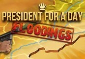 President for a Day - Floodings Steam Ключ