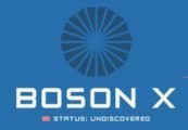 Boson X Steam Ключ