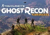 Tom Clancy's Ghost Recon Wildlands RU/CIS Ubisoft Connect Ключ