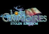 Lost Grimoires: Stolen Kingdom Steam Ключ