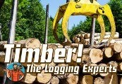 Timber! The Logging Experts Steam Ключ