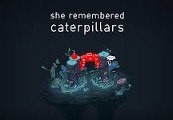 She Remembered Caterpillars Steam Ключ