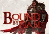 Bound By Flame Steam Подарок