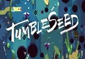 TumbleSeed Steam Ключ