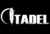 Citadel Steam Ключ