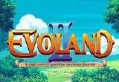 Evoland Набор Pack Steam Ключ