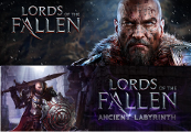 Lords Of The Fallen Digital Deluxe-издание + Ancient Labyrinth DLC ASIA Steam Gift
