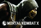 Mortal Kombat X RU VPN Activated Steam Ключ