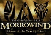 The Elder Scrolls III Morrowind GOTY Steam Подарок