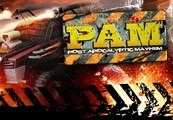 Post Apocalyptic Mayhem Steam Ключ