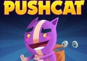 Pushcat Steam Ключ