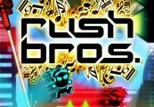 Rush Bros. Steam Подарок