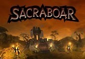 Sacraboar Steam Ключ