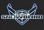 Project Snowblind Steam Ключ