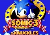 Sonic 3 and Knuckles Steam Подарок