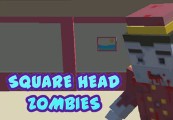 Square Head Zombies Steam Ключ