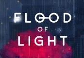 Flood of Light Steam Ключ