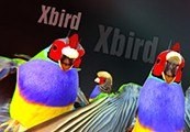 Xbird Steam Ключ