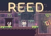 Reed Steam Ключ